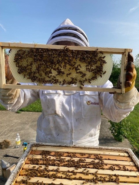 Beekeeper