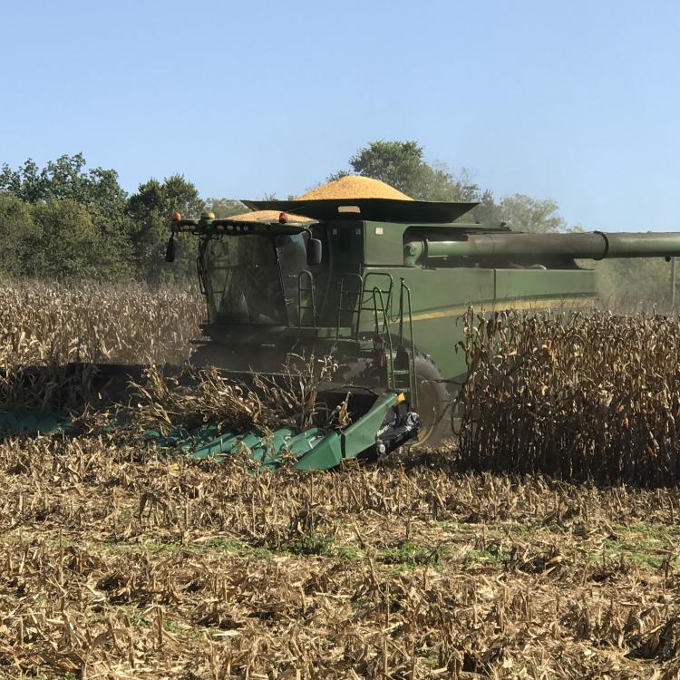  Combine in Field