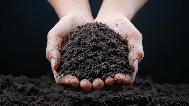 Hands holding a small amount of soil