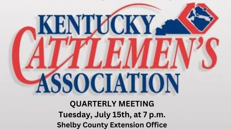cattlemens association flyer